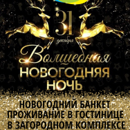 Новый Год 2024